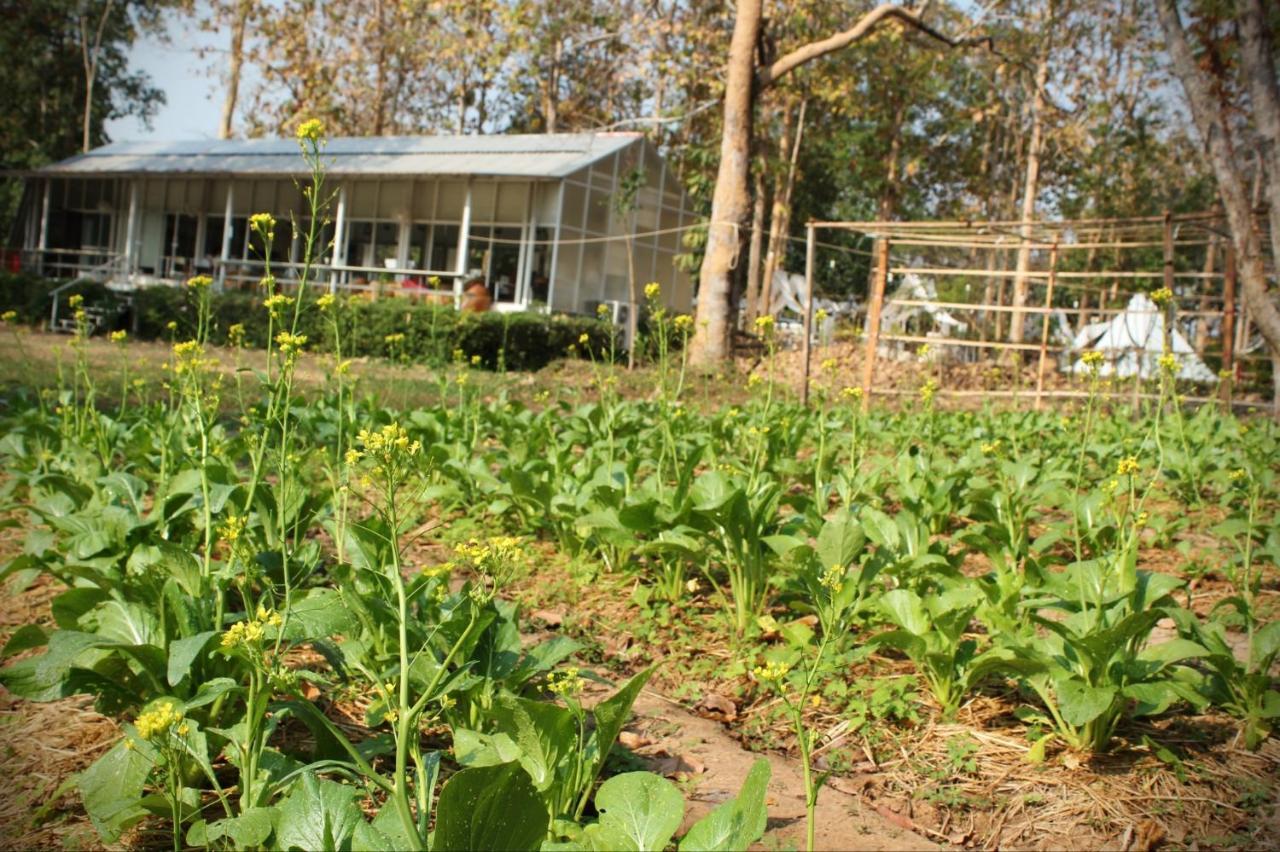 Sappraiwan Elephant Resort & Sanctuary Kaengsopha Exterior photo