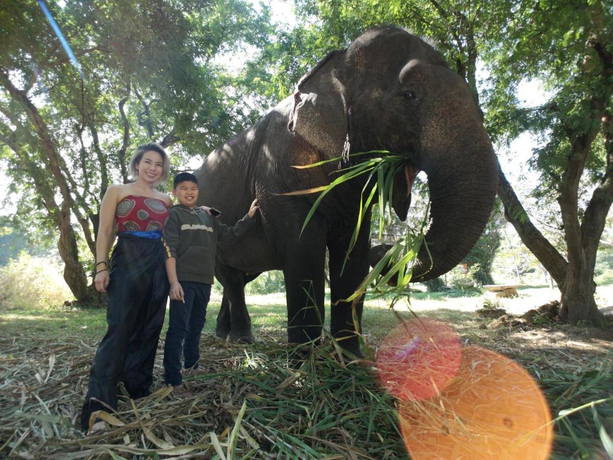 Sappraiwan Elephant Resort & Sanctuary Kaengsopha Exterior photo